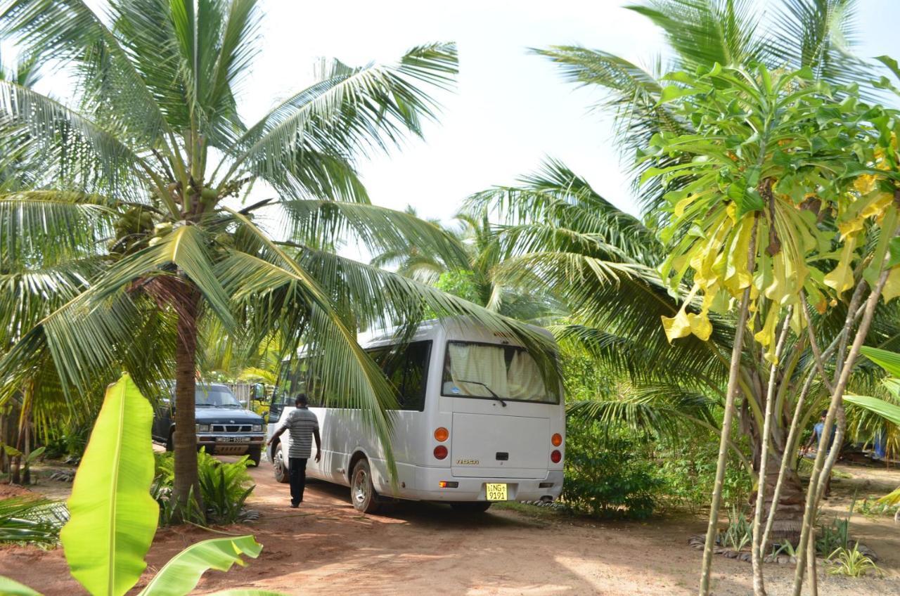 Agro Village Resort , Kalpitiya Ngoại thất bức ảnh